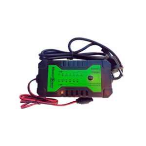 CARGADOR INTELIGENTE BATERIAS PLOMO AGM/GEL/9LIFEPO4