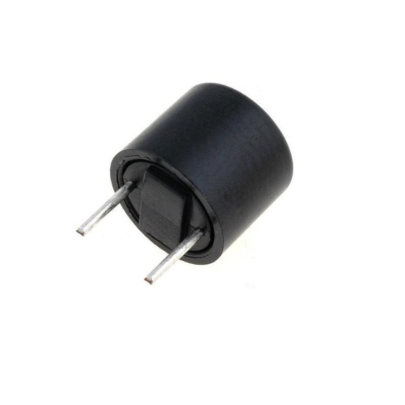 FUSIBLE TR5 RETARDADO 100mA 250V RADIAL PCB