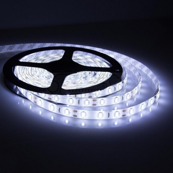 TIRA LED BLANCO FRÍO 12VDC 36W IP54 5MTS.