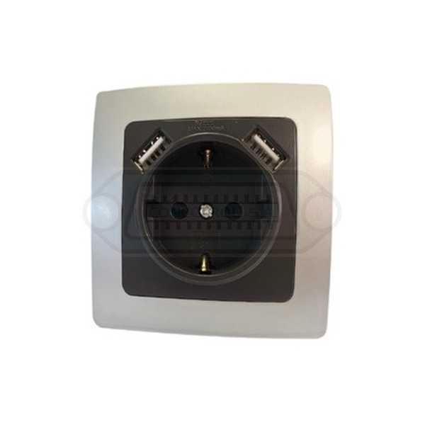 BASE SCHUKO EMPOTRAR + 2 USB PLATA/GRIS